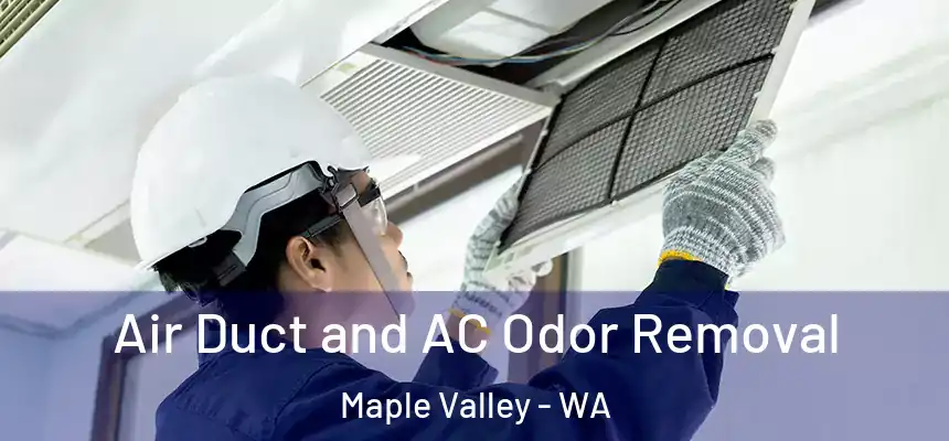 Air Duct and AC Odor Removal Maple Valley - WA
