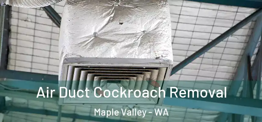  Air Duct Cockroach Removal Maple Valley - WA