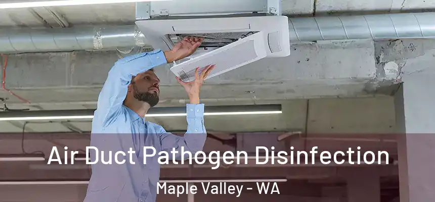  Air Duct Pathogen Disinfection Maple Valley - WA