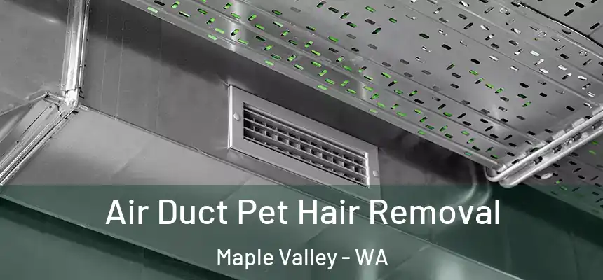 Air Duct Pet Hair Removal Maple Valley - WA