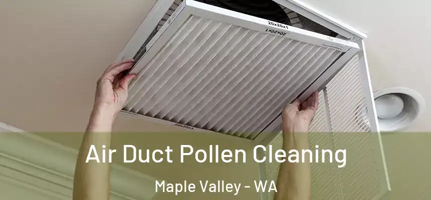 Air Duct Pollen Cleaning Maple Valley - WA
