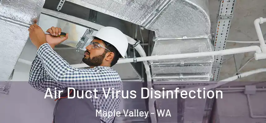  Air Duct Virus Disinfection Maple Valley - WA