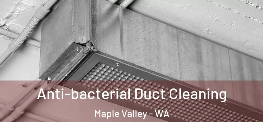  Anti-bacterial Duct Cleaning Maple Valley - WA