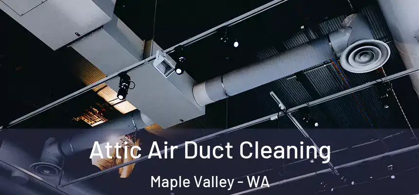  Attic Air Duct Cleaning Maple Valley - WA