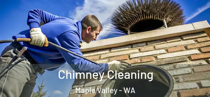 Chimney Cleaning Maple Valley - WA