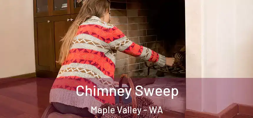 Chimney Sweep Maple Valley - WA