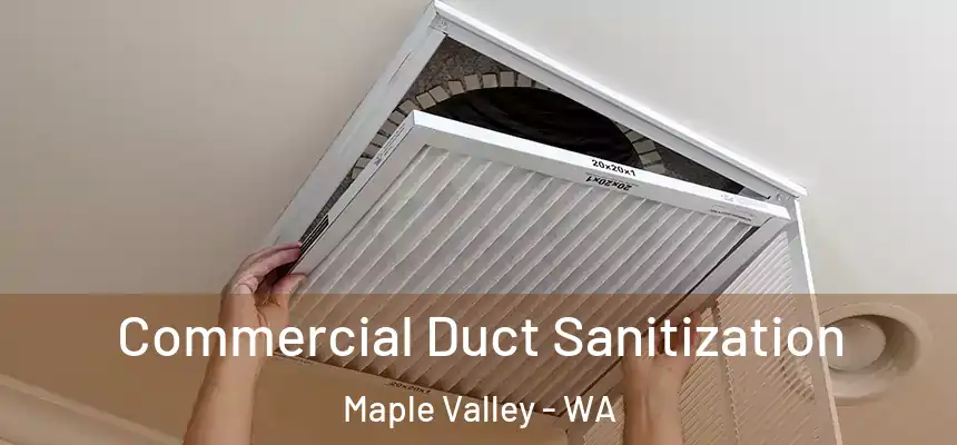 Commercial Duct Sanitization Maple Valley - WA