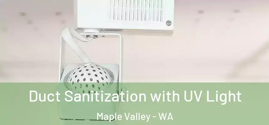 Duct Sanitization with UV Light Maple Valley - WA