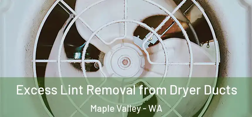 Excess Lint Removal from Dryer Ducts Maple Valley - WA