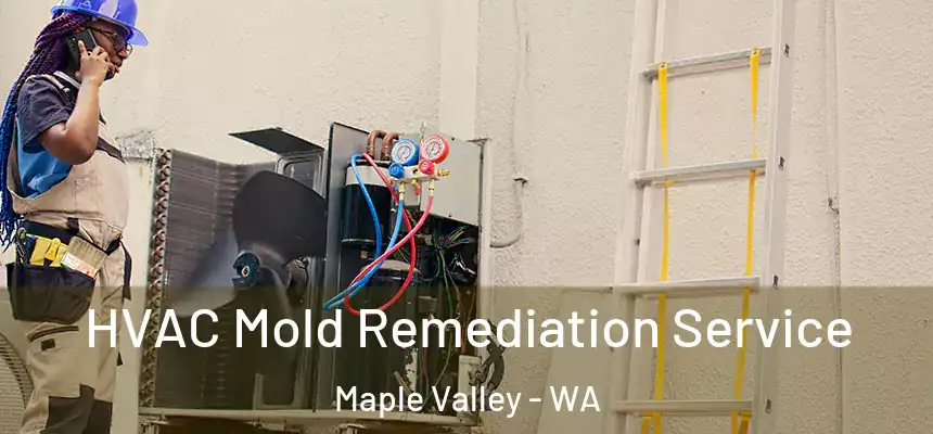 HVAC Mold Remediation Service Maple Valley - WA