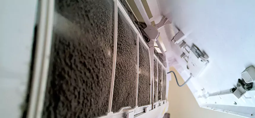 Preventive Air Duct Bacteria Removal in Maple Valley