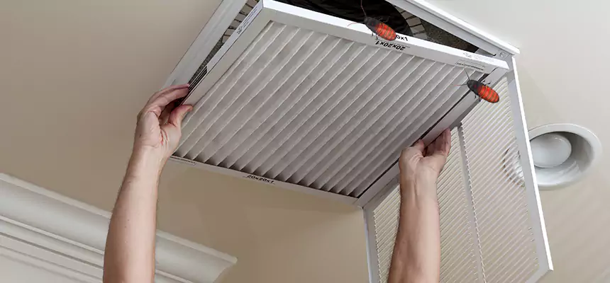 Preventive Cockroach-Proofing for Ducts in Maple Valley