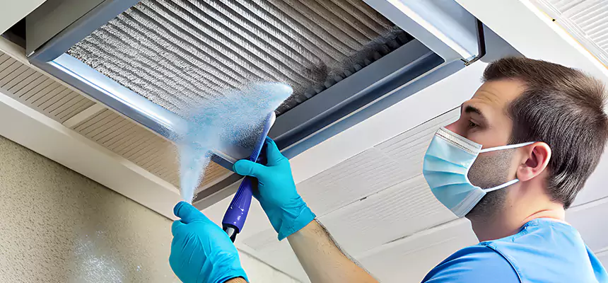 Proactive Dryer Vent & Auxiliary Duct Pollen Cleanup in Maple Valley, WA