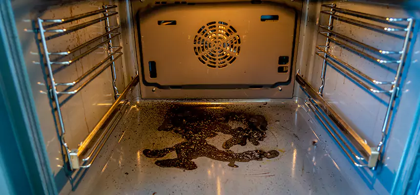 Our Dryer Vent Mold Cleaning Services in Maple Valley, WA