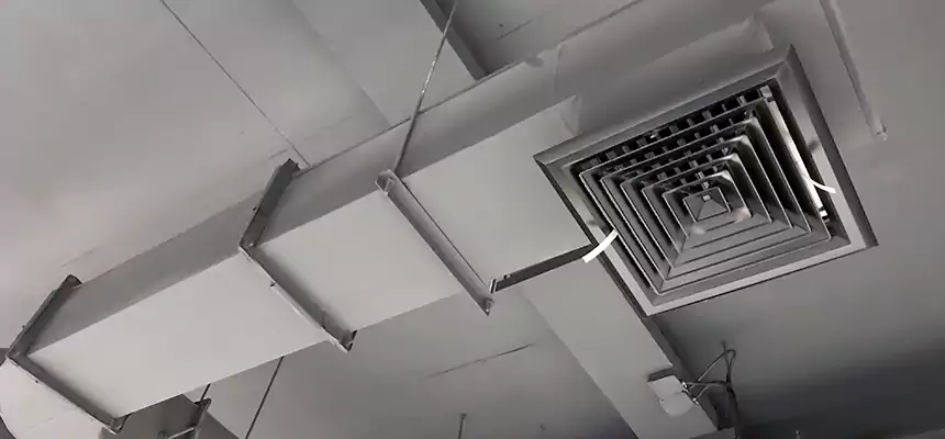 Our Pest Removal From Ducts Services in Maple Valley, WA