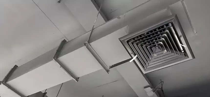 Our Rodent Droppings In Vents Services in Maple Valley, WA