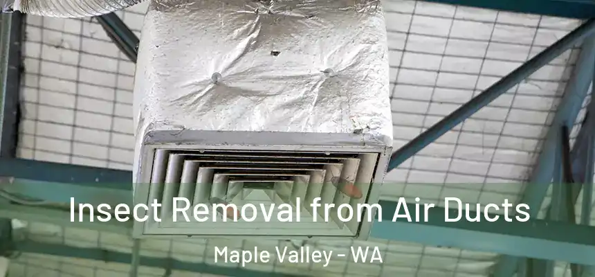  Insect Removal from Air Ducts Maple Valley - WA