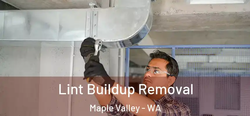Lint Buildup Removal Maple Valley - WA