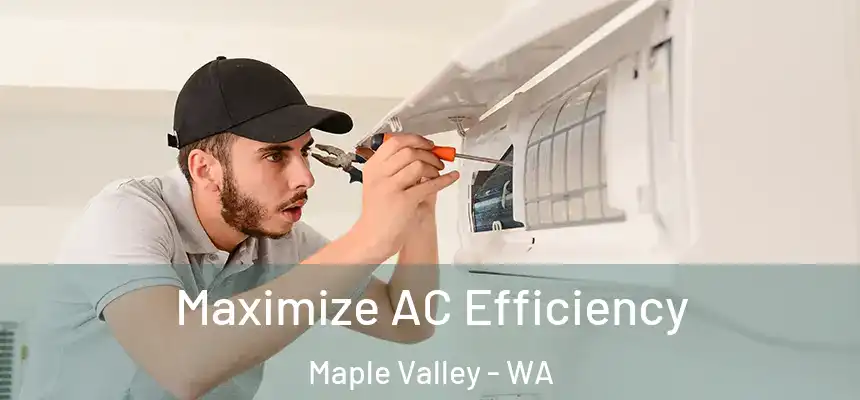  Maximize AC Efficiency Maple Valley - WA