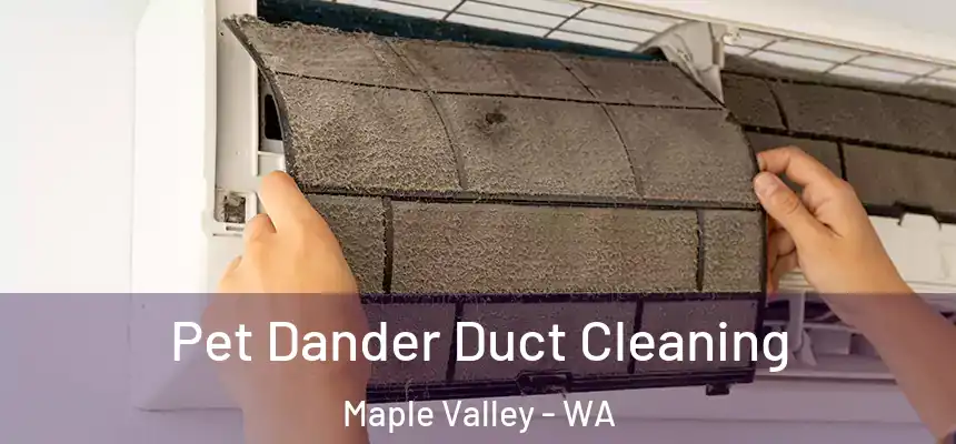 Pet Dander Duct Cleaning Maple Valley - WA
