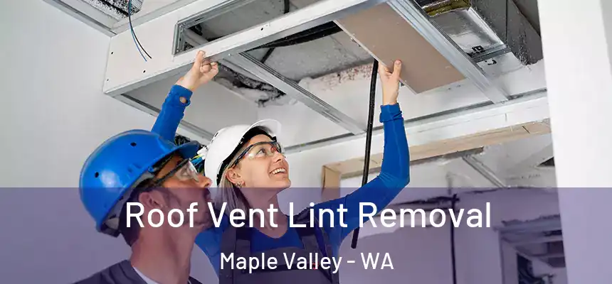 Roof Vent Lint Removal Maple Valley - WA