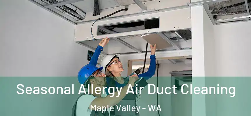  Seasonal Allergy Air Duct Cleaning Maple Valley - WA