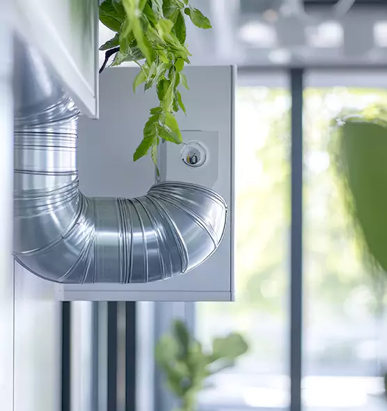 Professional Eco-Safe Dryer Vent Cleaning in Maple Valley, WA