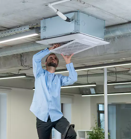 Advanced Rodent Droppings In Vents in Maple Valley, WA