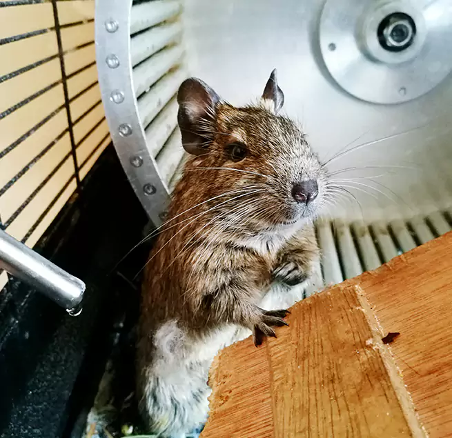 Why Homeowners & Businesses Trust Us Maple Valley, WA?