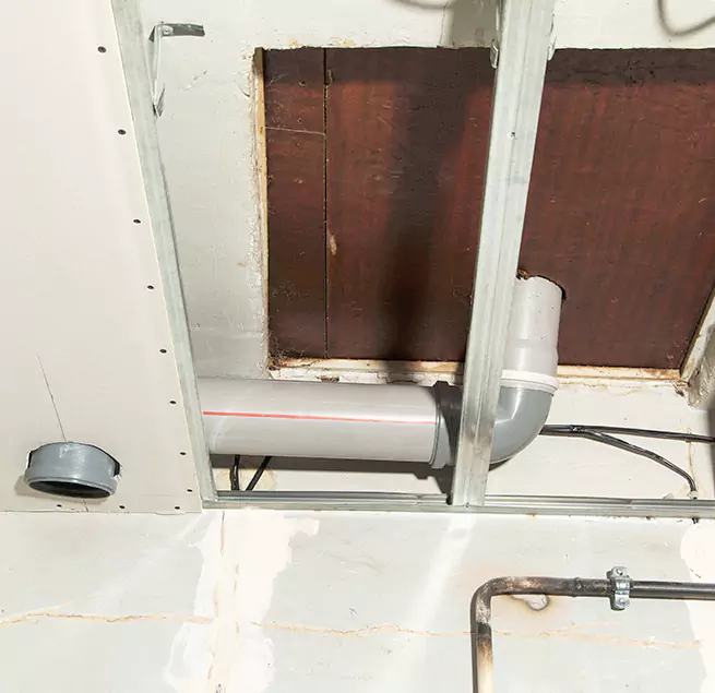 Why Homeowners & Businesses Trust Us in Maple Valley, WA?