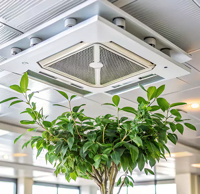 Why Homeowners & Businesses Trust Us in Maple Valley, WA?