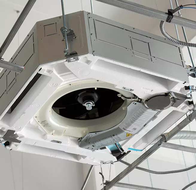 Why Homeowners & Businesses Trust Us in Maple Valley, WA?