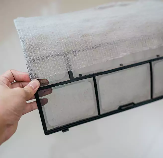 Why Homeowners & Businesses Trust Us in Maple Valley, WA?