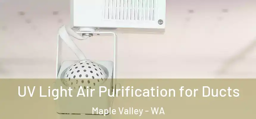  UV Light Air Purification for Ducts Maple Valley - WA